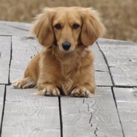 凡人のつぶやき (@bonchan1) 's Twitter Profile Photo 凡人のつぶやき (@bonchan1) 's Twitter Profile Photo