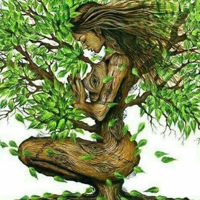 zommere_ilze's profile picture. Nothing