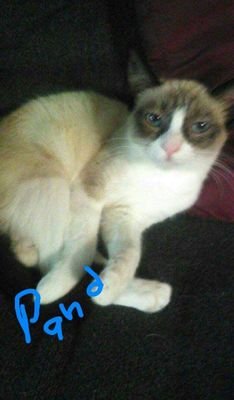 SamYaw1's profile picture. VictorVille,Ca 92392