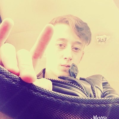 dlhcmhmtcn's profile picture. 