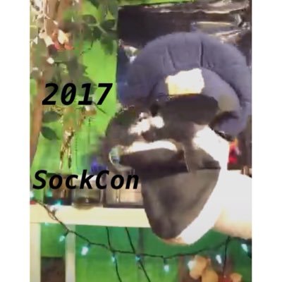 GO TO THE LINK TO SIGN THE PETITION FOR A SOCKCON IN 2017!