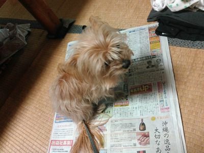 ゼロさんのプロフィール画像