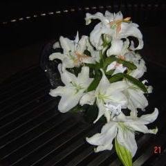 luchshg's profile picture. Will code for food