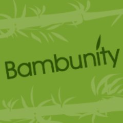 Bambunity Group is set to become a global impact leader with the utilization and innovative use of bamboo.