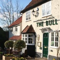 TheBullCottered (@thecottered) 's Twitter Profile