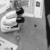 Under the Microscope (@lovemicroscopes) Twitter profile photo Under the Microscope (@lovemicroscopes) Twitter profile photo
