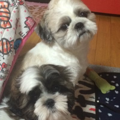 西陵中35期 → 福岡第一高校コンピュータ情報技術科卒業‼︎→