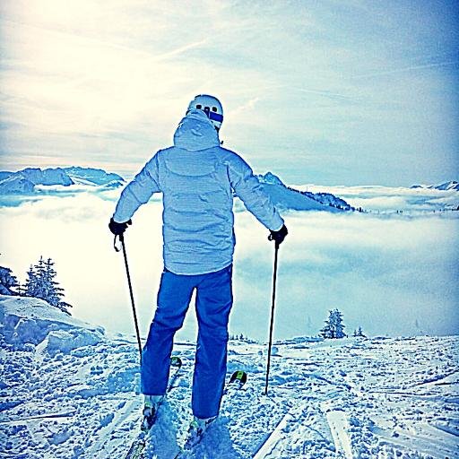 IT - Project Management - Cowboy - Life - Skiing - Harley Davidson - Sports - IceHockey - Running