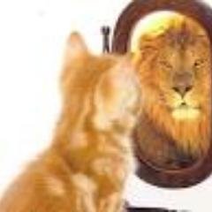 Em psicologia, autoestima inclui uma avaliação subjetiva que uma pessoa faz de si mesma como sendo intrinsecamente positiva ou negativa em algum grau