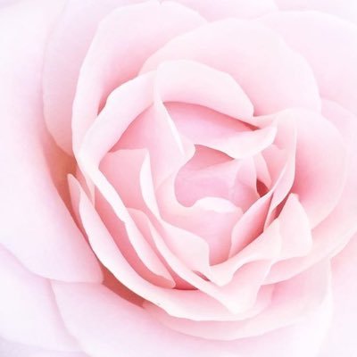 Fatoom1216's profile picture. 