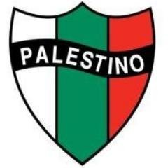 Escuelas Deportivas EFU Palestino de orientación recreativa y formativa.
Fomentamos los valores del deporte.