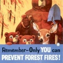 Prevent Wildfires with our fiery tips! #BWHSAPES