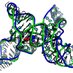 RNA-Puzzles (@RNAPuzzles) Twitter profile photo