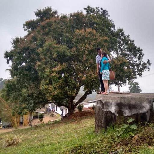 wilsonloga's profile picture. Solo esta derrotado, quien deja de soñar. ;)