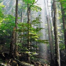 survival_trends's profile picture. #EDC #Outdoor #Rescue #Preparedness #Survival #ThriftyHunter #American #SecondAmendment Don't Tread on Me