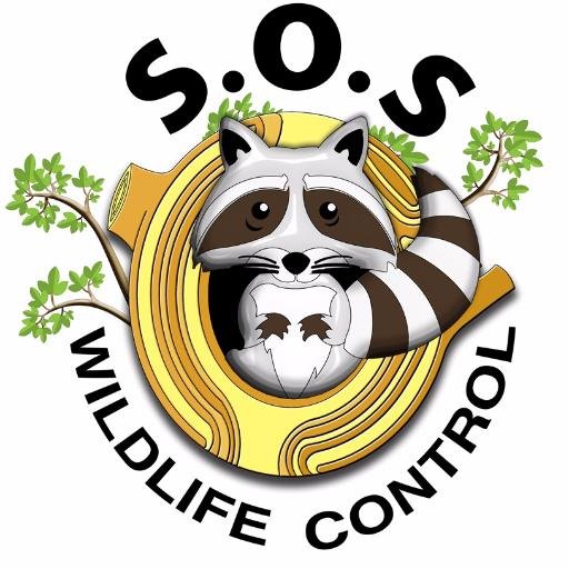 SOS Wildlife Control