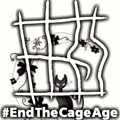 supporter of animal rights,vegetarian, vegan, tree hugging cat owner who would like to see all animal abuse stopped once and for all