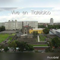 Vive en Tlatelolco(@ViveTlatelolcoT) 's Twitter Profileg