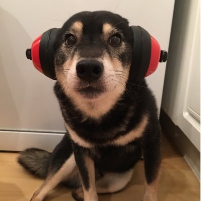 XinFenby's profile picture. 