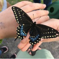 HMS School Garden (@hcsgarden) 's Twitter Profile