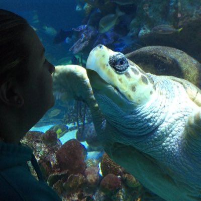 AmieAllaire's profile picture. Photography, nature, oceans, sea turtles, NASCAR, writing