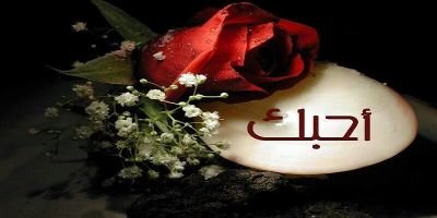 ‏‏‏‏‏‏‏حبك ذابحني منذو صغري عسا الأيام تجمعا:                       .‏