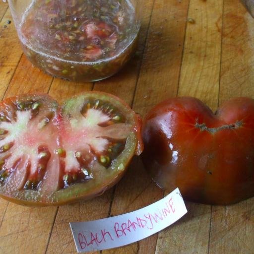 locally grown heirloom seeds and the knowledge needed to get growing (and saving!) your own