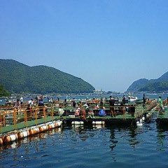 海上釣堀 フィッシングランド日向 フィッシングランド日向の紹介動画です ぜひ一度ご覧ください T Co Fycwo0ehi5 海上釣堀 フィッシングランド日向 フィッシングランド日向の紹介動画です ぜひ一度ご覧ください T Co Fycwo0ehi5