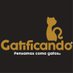Gatificando® (@gatificando) Twitter profile photo Gatificando® (@gatificando) Twitter profile photo