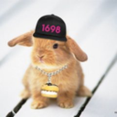 pl0tbunnyslayer's profile picture. 