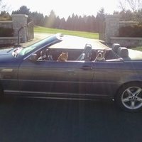 monique williams (@mokey69) 's Twitter Profile
