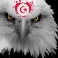 Aigles Royaux 🇹🇳⚽️🦅👑(@AiglesRoyaux) 's Twitter Profileg