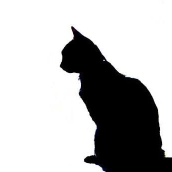 orchid_0426's profile picture. amk69th/岡大