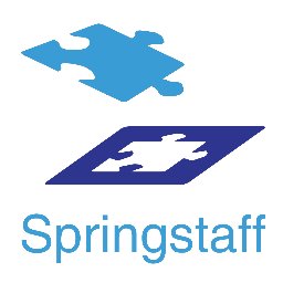 Springstaff1's profile picture. Dé recruitmentspecialist voor de eHealth sector!
