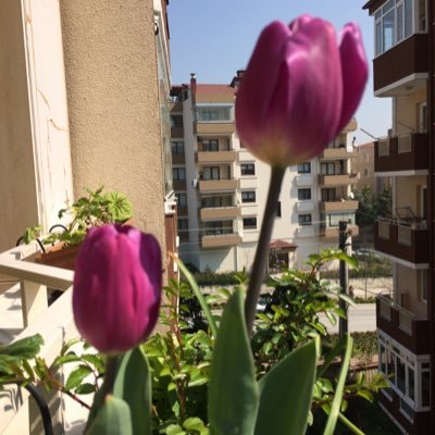 mstesna9402's profile picture. Duyarlı Vatandaş