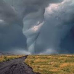 Spring_Twister's profile picture. Ной не ныл. И ты не ной.