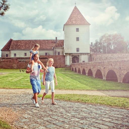 tdmsarvar's profile picture. Sárvárt, ezt a ny-dunántúli kisvárost sok évszázados tört-i és kulturális múltja, vmint jelenkori turisztikai és gazdasági sikerei rajzolják fel M.o. térképére!