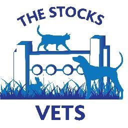 StocksVets's profile picture. 