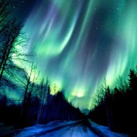 rhonda morse (@morse_rhonda) 's Twitter Profile