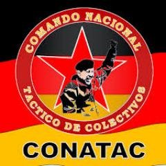 Administrador Publico,Chavista de Corazon Coordinador del Comando Nacional Tactico de Colectivos-Barinas