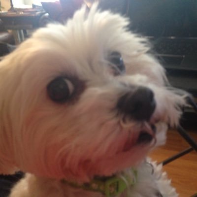 bgmath1's profile picture. Mom, math teacher