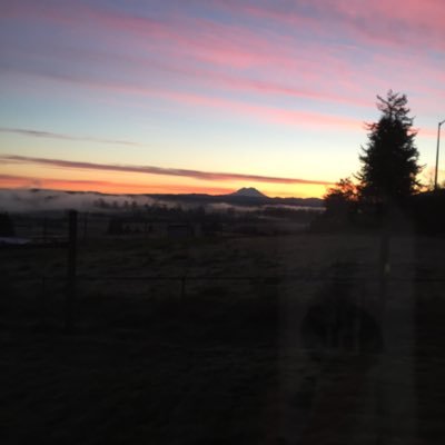 gaffney62's profile picture. Recently retired, working on family history and traveling.