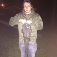 nickolas wade (@npw1233) 's Twitter Profile Photo