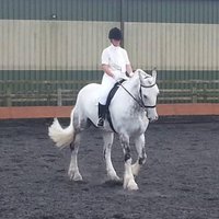 Mishel Ree (@mishellree) 's Twitter Profile