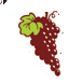 We taste every wine we buy to provide superior quality and great value.
