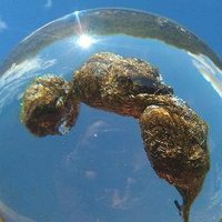 National Poo Museum(@PooMuseum) 's Twitter Profile Photo