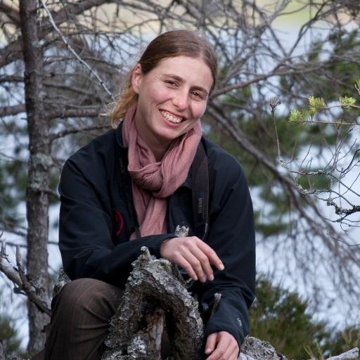 Movement ecology, conservation biology & ornithology; she/her