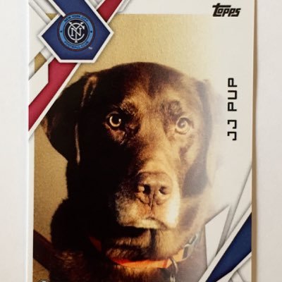 NY Jets Fan ~ Topps ID for Kick, Bunt, Skate, & Huddle: JJPUP