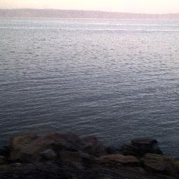 SLU2769's profile picture. 