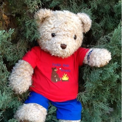 Welcome to @TeddyBearScouts My name is Braverly and I'm the Troop Leader of #TeddyBearScouts and Official Rep. Forest and Nature 2016